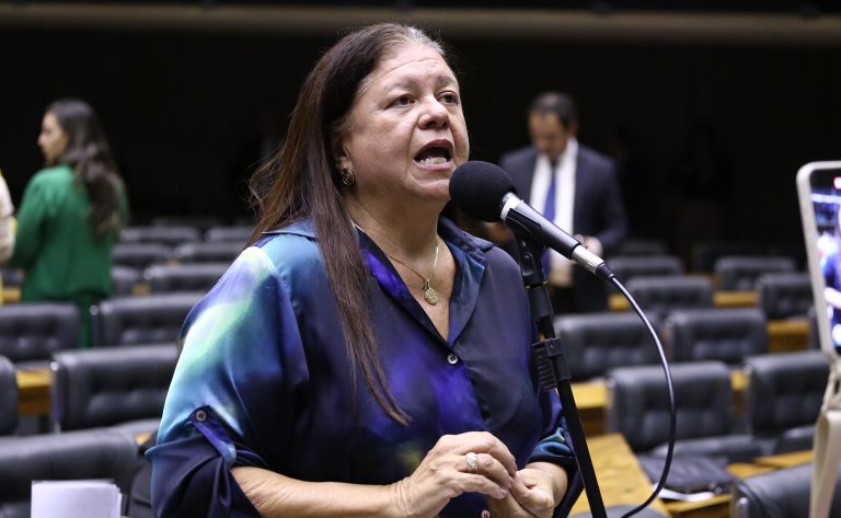 Discussão e votação de propostas legislativas. Dep. Laura Carneiro (PSD - RJ)