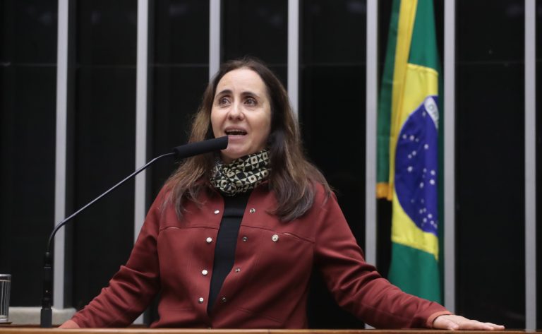 Discussão e votação de propostas legislativas. Dep. Adriana Ventura (NOVO-SP)