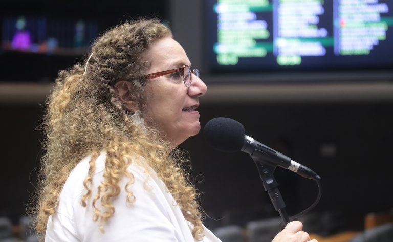 Discussão e votação de propostas legislativas. Dep. Jandira Feghali (PCdoB - RJ)