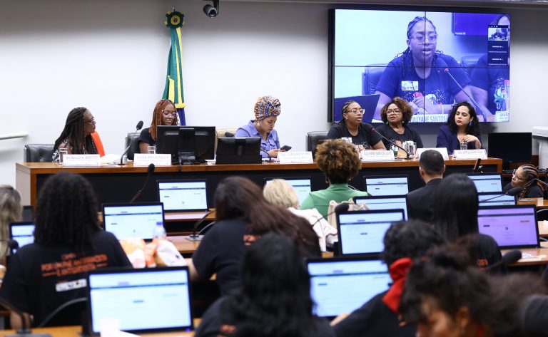 Audiência Pública - Educação Antirracista e Antissexista no Brasil no Novo Plano Nacional de Educação.