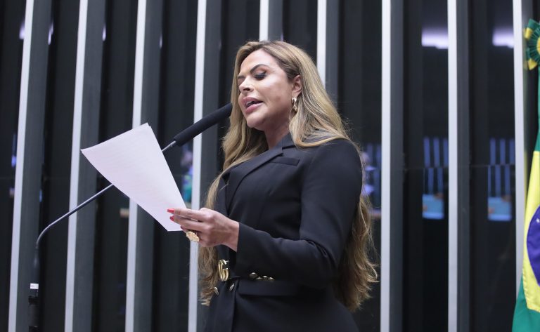 Deputada Silvye Alves (União-GO) fala no Plenário da Câmara dos Deputados