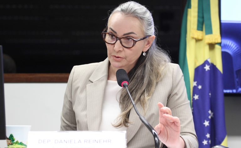 Audiência Pública - Obras de ampliação do aeroporto de Chapecó (SC). Dep. Daniela Reinehr (PL - SC)