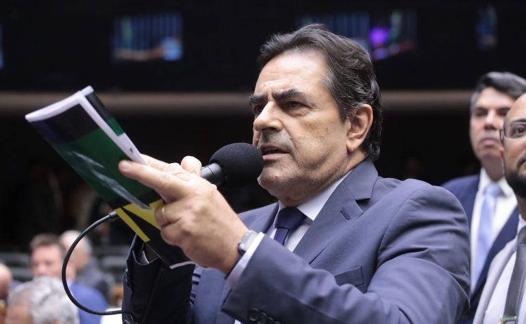 Deputado Domingos Sávio (PL-MG) fala no Plenário da Câmara dos Deputados