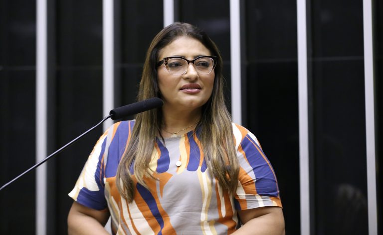 Discussão e votação de propostas legislativas. Dep. Ely Santos (REPUBLICANOS - SP)