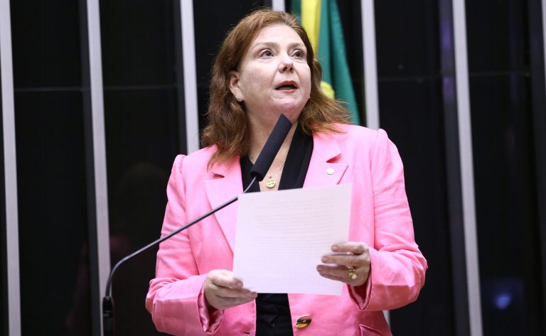 Discussão e votação de propostas legislativas. Dep. Fernanda Pessoa (UNIÃO - CE)