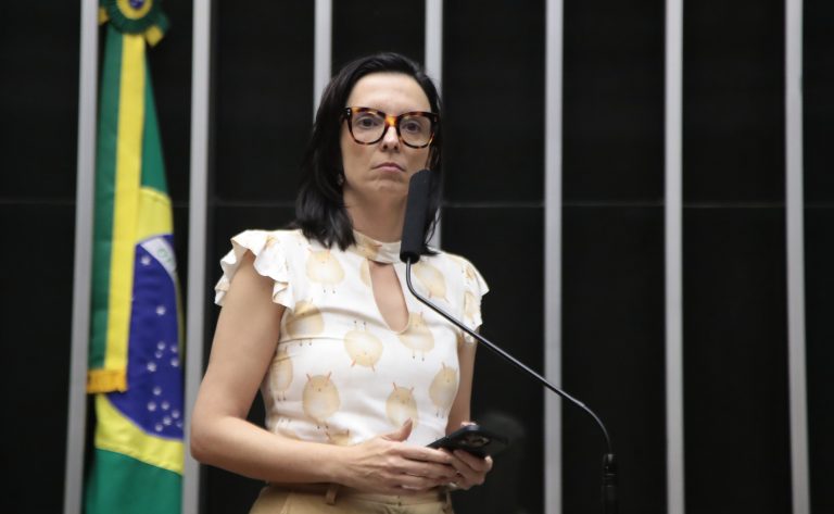 Discussão e votação de propostas legislativas. Dep. Ana Pimentel (PT - MG)