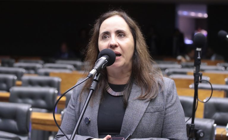 Discussão e votação de propostas legislativas. Dep. Adriana Ventura (NOVO - SP)