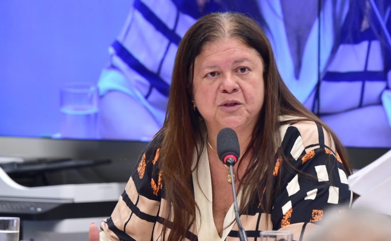 Planos e Agenda Estratégica do Ministério da Previdência Social para os próximos anos. Dep. Laura Carneiro (PSD - RJ)