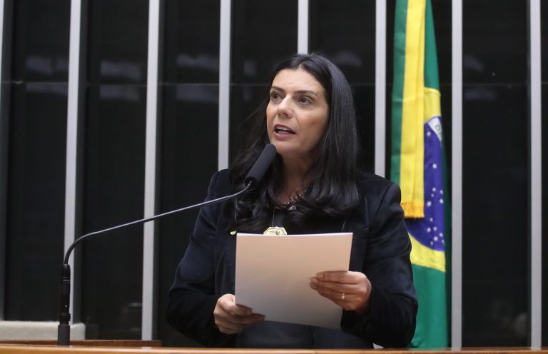 Discussão e Votação de Propostas Legislativas. Dep. Delegada Ione (AVANTE-MG)