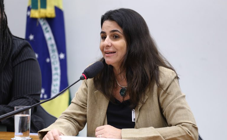 Seminário - Seminário pós 29ª Conferência das Partes (COP 29) da Convenção Quadro de Clima das Nações Unidas.