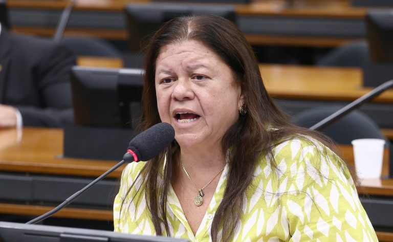 Audiência Pública - Malha ferroviária na Baixada Fluminense. Dep. Laura Carneiro (PSD - RJ)