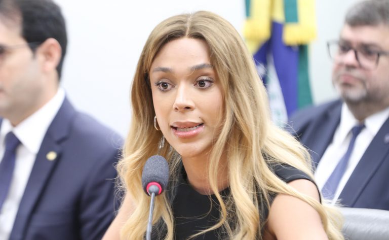 Plano de trabalho para o ano de 2025 e debate de temas ligados ao Ministério do Trabalho e Emprego. Dep. Erika Hilton (PSOL - SP)