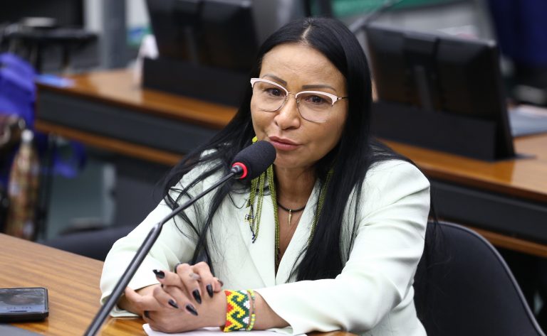 Deputada Silvia Waiãpi fala ao microfone