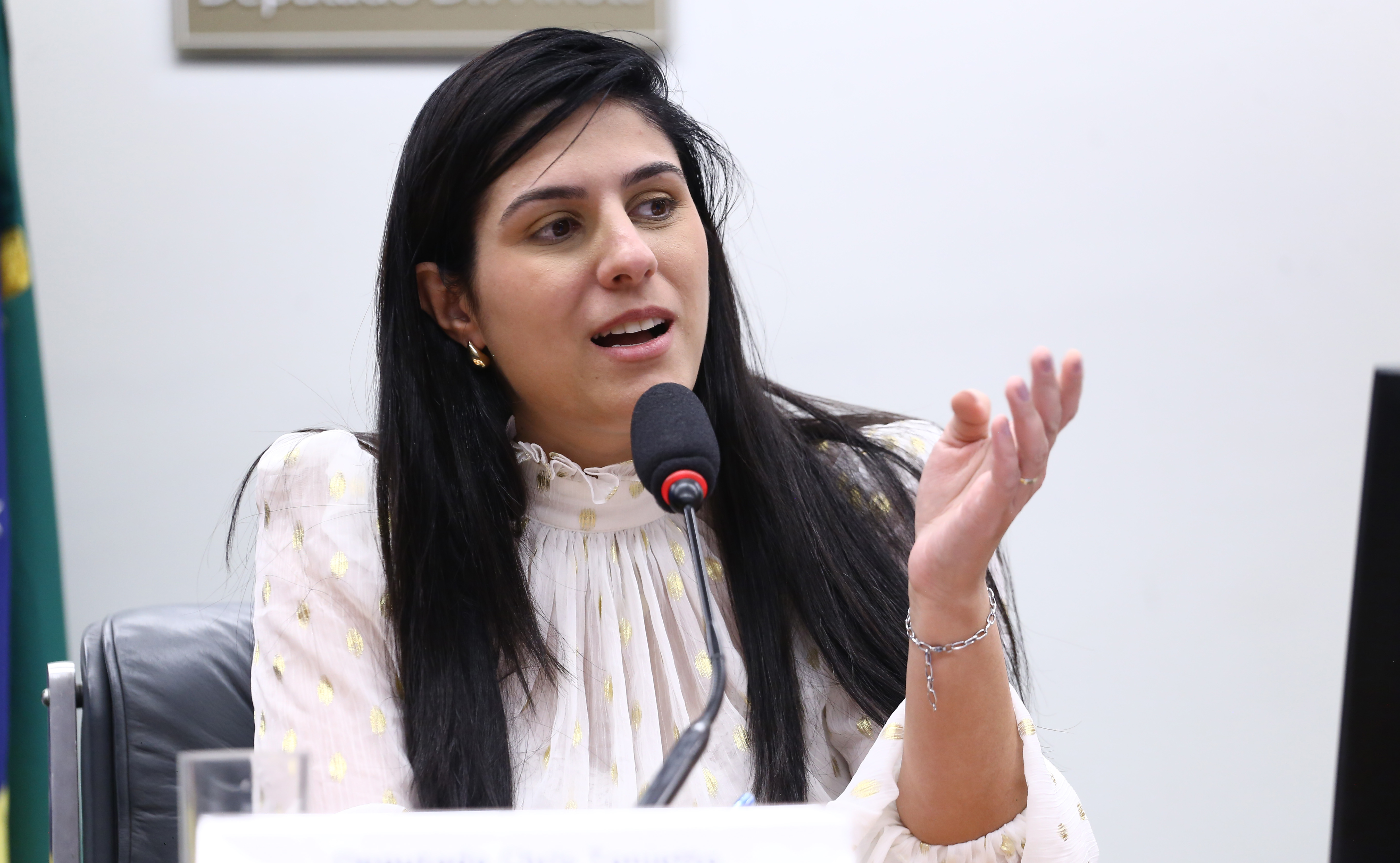 Comissão de Previdência, Assistência Social, Infância, Adolescência e Família