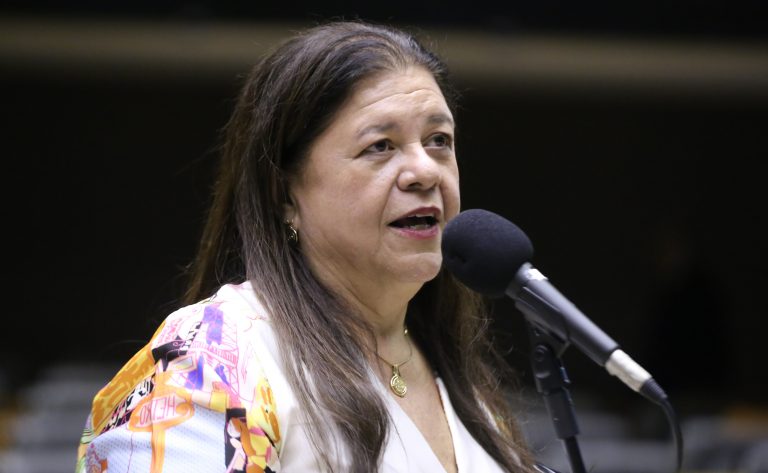 Deputada Laura Carneiro fala ao microfone