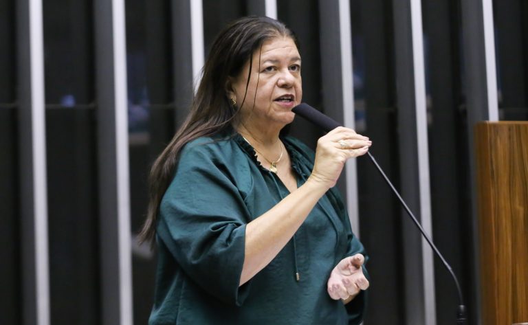 Deputada Laura Carneiro (PSD-RJ) fala no Plenário da Câmara dos Deputados