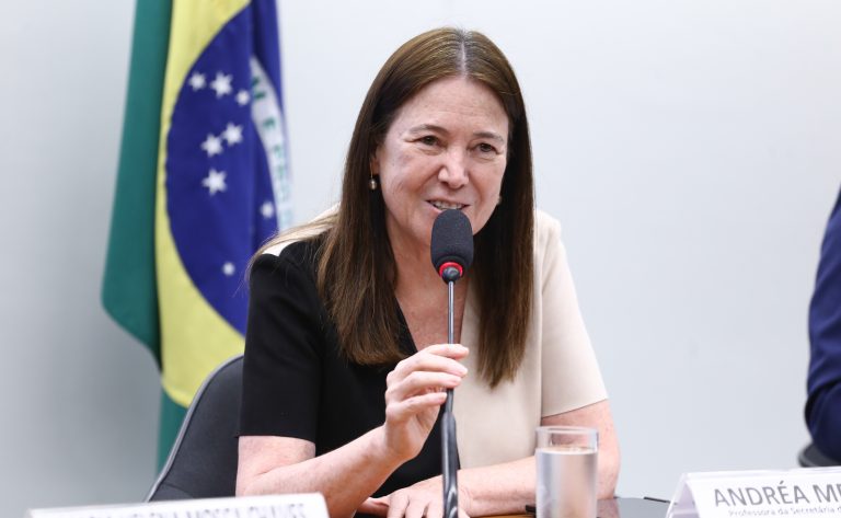 Audiência Pública - Atendimento de alunos com alto desempenho nas escolas PL 3405/21. Professora da Secretaria de Estado de Educação - SEDF, Andréa Mendes