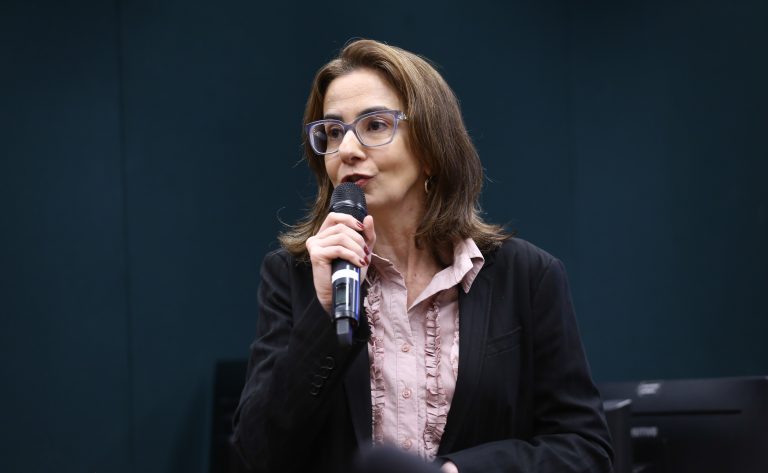 Audiência Pública - Acesso e qualidade na Educação Infantil - Objetivos 1 e 2 do Plano Nacional de Educação. Representante da Fundação Maria Cecília Souto Vidigal - Fundação Maria Cecília Souto Vidigal, Beatriz Abuchaim.
