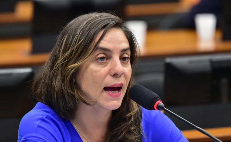 Discussão e votação de propostas legislativas. Dep. Fernanda Melchionna (PSOL - RJ)