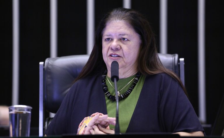 Homenagem ao Dia Nacional do Assistente Social. Dep. Laura Carneiro (PSD-RJ)