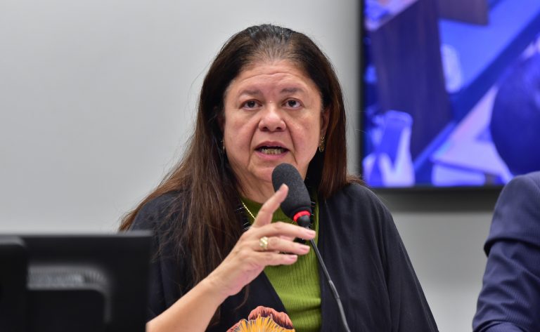 Deputada Laura Carneiro fala ao microfone. Ela é branca, tem o cabelo comprido e escuro, veste uma blusa vermelha com bolinhas azuis