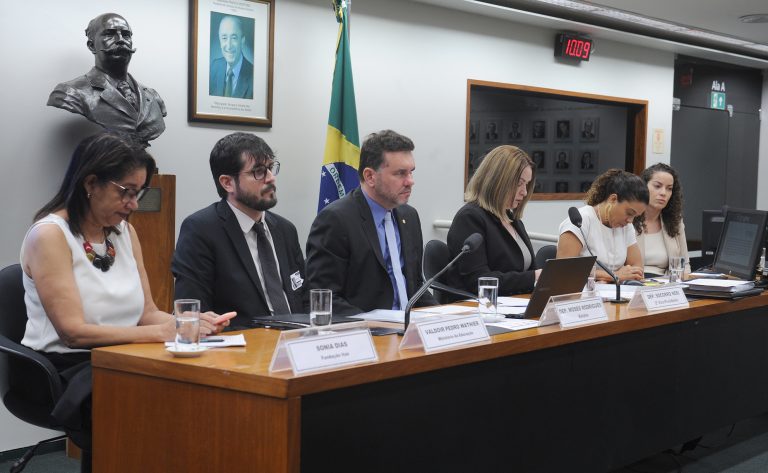 Audiência Pública - Educação em tempo integral – objetivo 6 do Plano Nacional de Educação