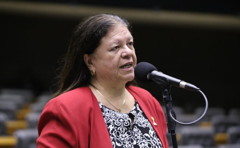 Deputada Laura Carneiro (PSD-RJ) fala no Plenário da Câmara dos Deputados