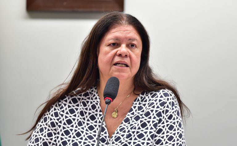 Deputada Laura Carneiro fala ao microfone