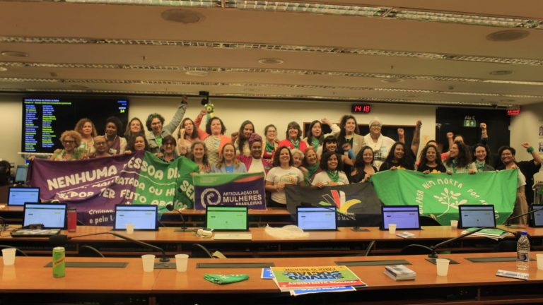 Participantes da audiência na Comissão dos Direitos da Mulher