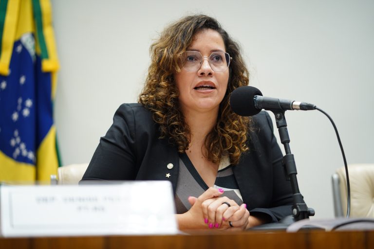 Deputada Denise Pessôa fala ao microfone