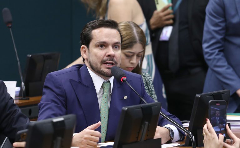 Discussão e votação de propostas legislativas. Dep. Capitão Alberto Neto (PL - AM)