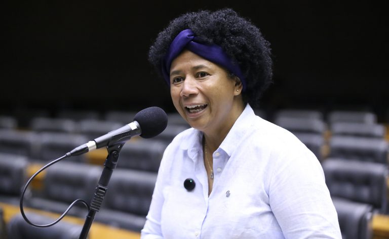 Discussão e Votação de Propostas Legislativas. Dep. Silvia Cristina (PP - RO)