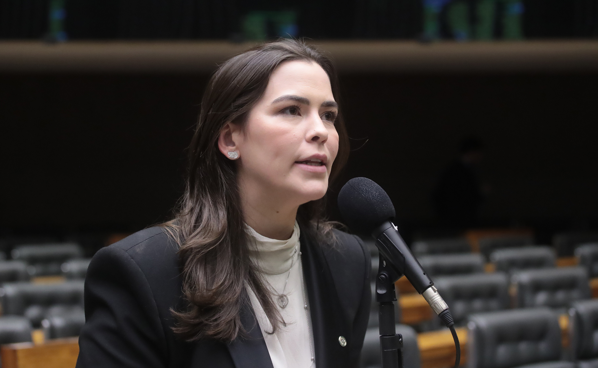 Discussão e Votação de Propostas Legislativas. Dep. Maria Arraes (SOLIDARIEDADE-PE) Plenário - Sessão Deliberativa