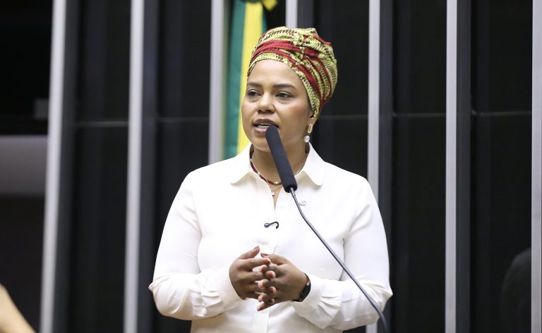 Discussão e Votação de Propostas Legislativas. Dep. Dandara (PT-MG)