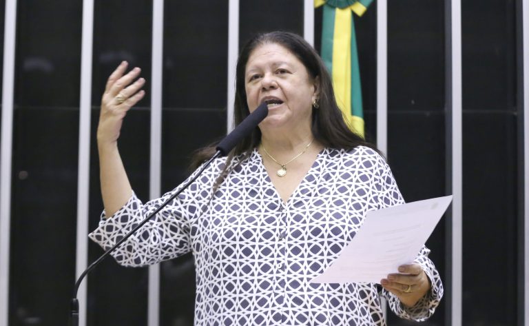 Deputada Laura Carneiro fala ao microfone