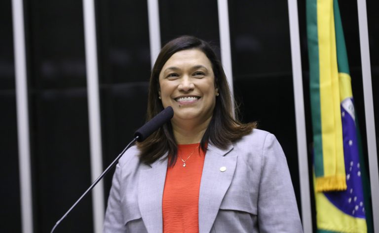 Discussão e Votação de Propostas Legislativas. Dep. Maria Rosas (REPUBLICANOS-SP)