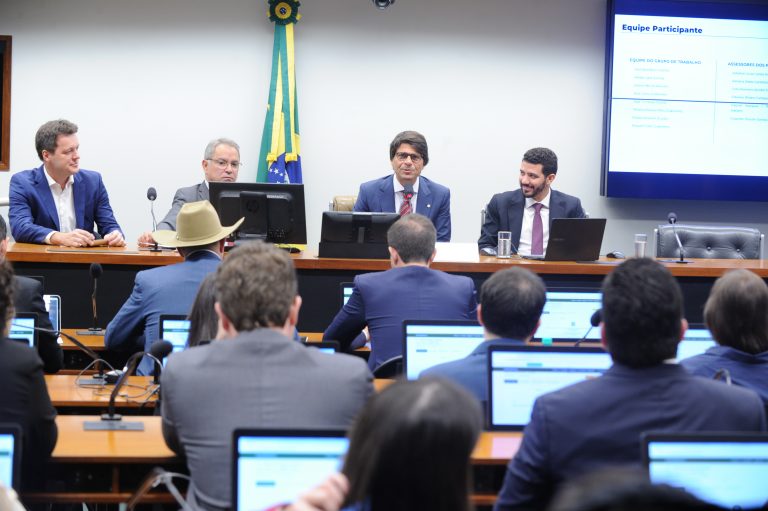 Audiência Pública do Grupo de Trabalho sobre a Reforma Administrativa