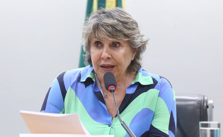 Deputada Erika Kokay fala ao microfone