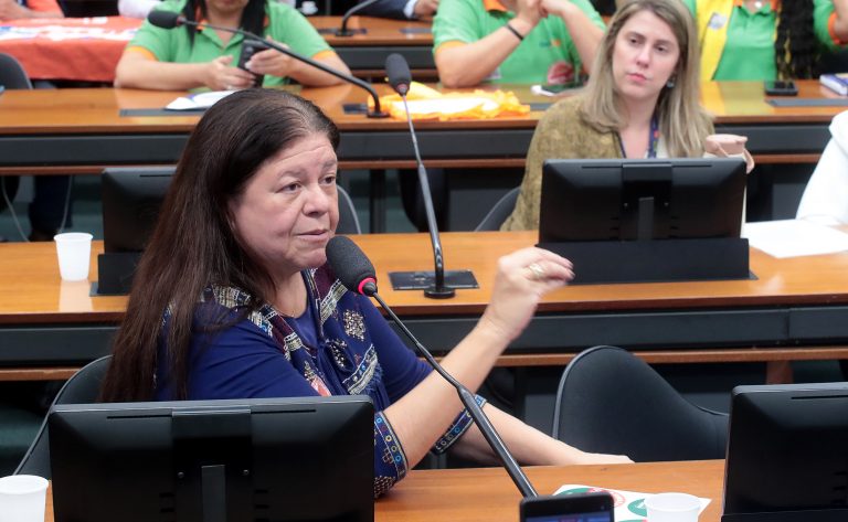 Audiência Pública- Regimes Próprios de Previdência Social. Dep. Laura Carneiro (PSD - RJ)