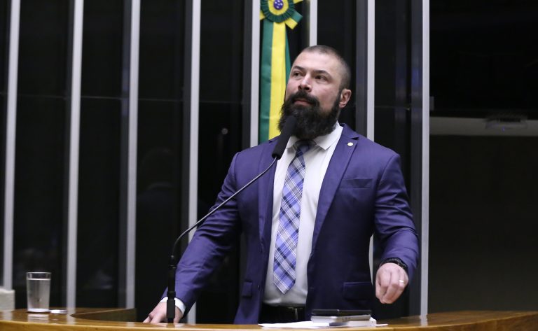 Discussão e Votação de Propostas Legislativas. Dep. Delegado Paulo Bilynskyj (PL - SP)