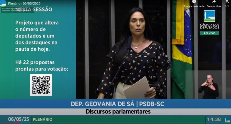 Deputada discursa na tribuna