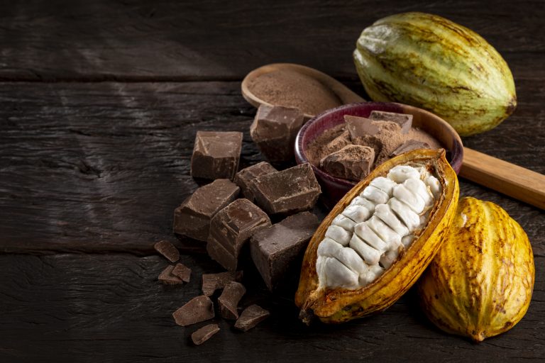 Cacau e chocolate em cima de uma mesa
