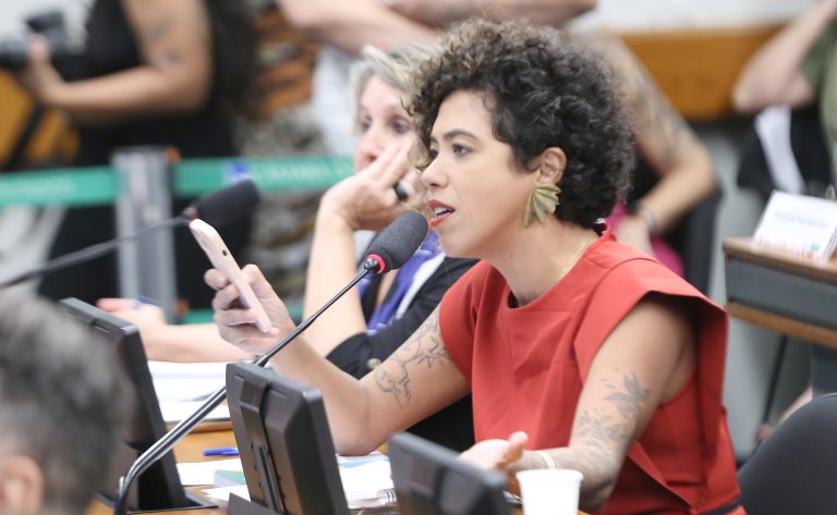 Discussão e Votação de Propostas legislativas. Dep. Talíria Petrone (PSOL - RJ)