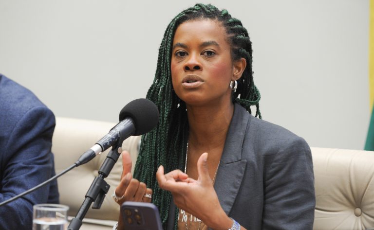 Seminário: Racismo ambiental e transição energética justa. Dep. Carol Dartora (PT - PR)