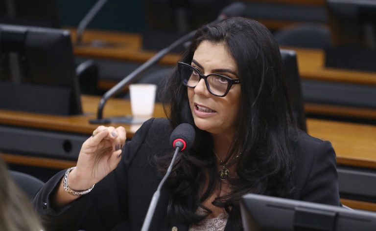 Deputada Delegada Ione (Avante-MG) fala em comissão da Câmara dos Deputados