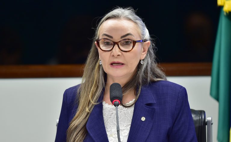 Deputada Daniela Reinehr em reunião de comissão