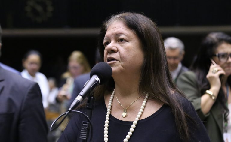 Deputada Laura Carneiro fala ao microfone