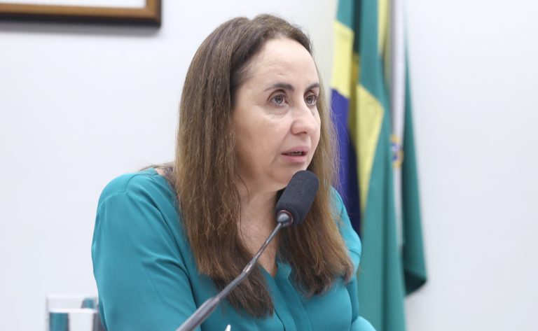 Audiência Pública Interativa - Mudanças ocasionadas pelo SNE nas políticas públicas. Dep. Adriana Ventura (NOVO - SP)