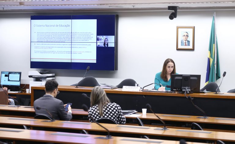 Audiência Pública Interativa - Mudanças ocasionadas pelo SNE nas políticas públicas