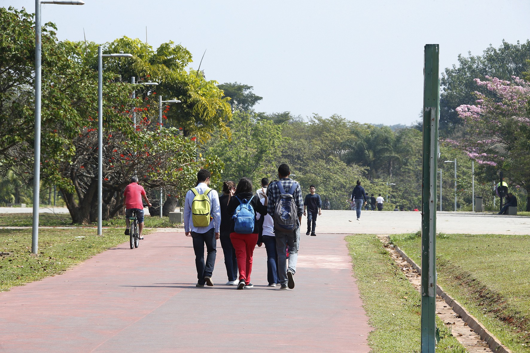 Estudantes circulam pelo campus Butantã. Foto Marcos Santos / USP Imagens.